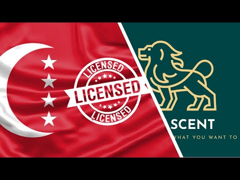 Live Dealer Vs  Virtual On Line Casino Video Games: Pros And Cons